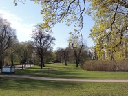 DSCN2432