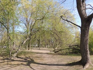 DSCN2433