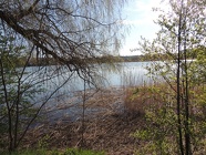 DSCN2434
