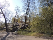 DSCN2444