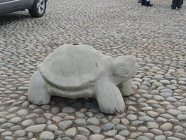 DSCN2500