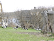 DSCN2525