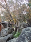 DSCN2843