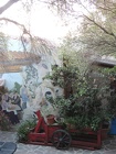 DSCN2850