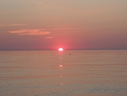 DSCN2806