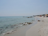 DSCN2694