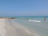 DSCN2700
