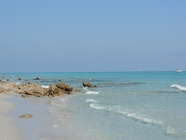 DSCN2704