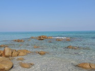 DSCN2706