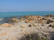 DSCN2711