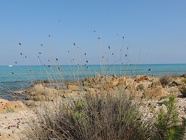 DSCN2712
