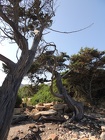 DSCN2722