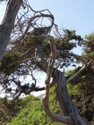 DSCN2723