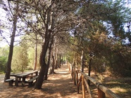 DSCN2732
