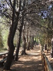 DSCN2734