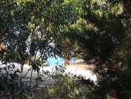 DSCN2736