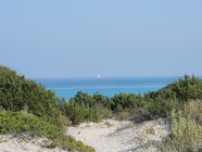 DSCN2741