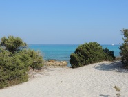 DSCN2745