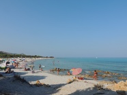 DSCN2746
