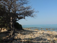 DSCN2754