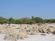 DSCN2658
