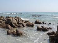 DSCN2665