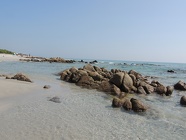 DSCN2666