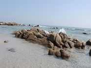 DSCN2667