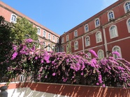 DSCN3062