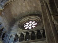 DSCN3089