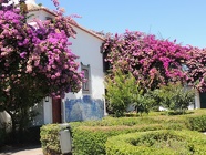 DSCN3110