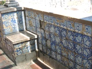 DSCN3117
