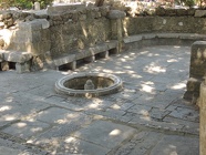 DSCN3133
