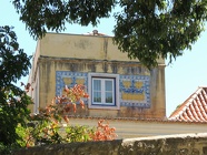 DSCN3147