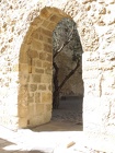 DSCN3150