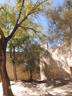 DSCN3159