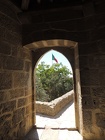 DSCN3168