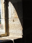 DSCN3172