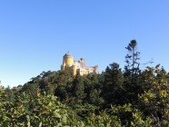 DSCN3220