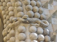 DSCN3241