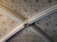 DSCN3266