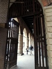 DSCN4135