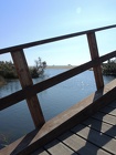 DSCN3635
