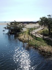 DSCN3637