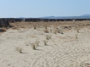 DSCN3638