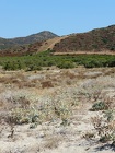 DSCN3654