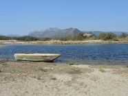DSCN3656