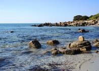 DSCN3790