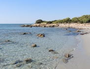 DSCN3793