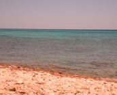 DSCN3856